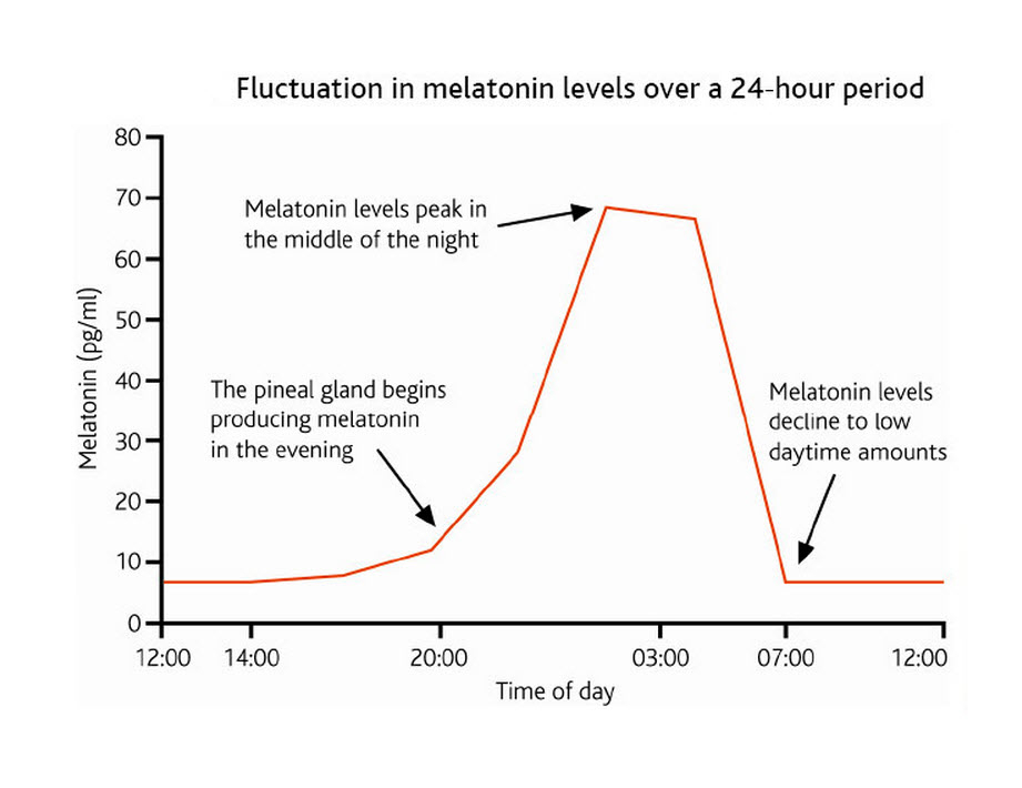 Melatonin And Sleep Gateway Psychiatric